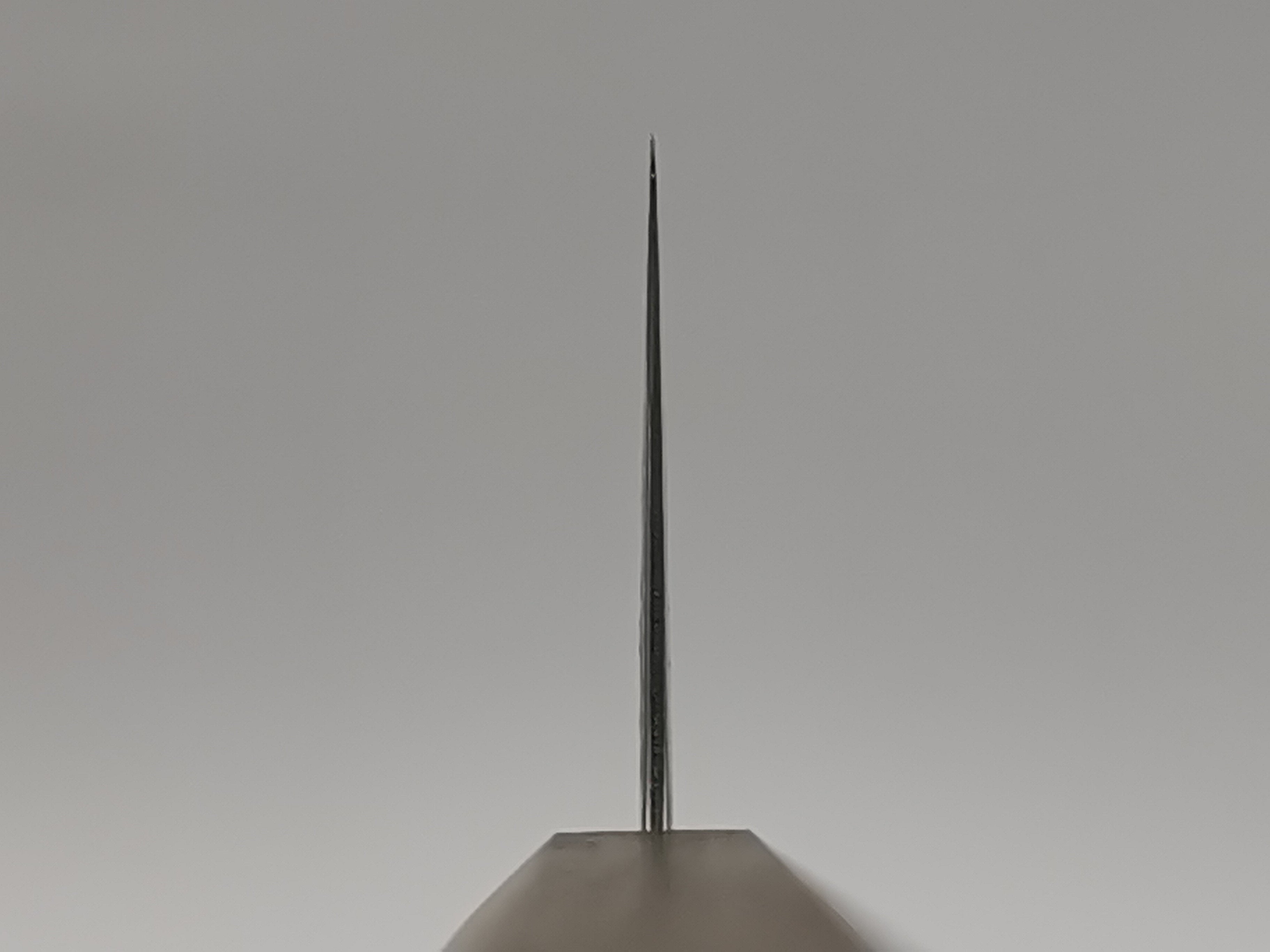 Haruyuki Zanpa Nakiri