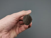 Oval D-Shape Walnut handle