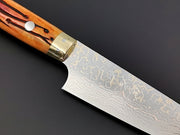 Takeshi Saji VG10 Rainbow Damascus Petty 130mm with orange bone handle