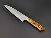 Takeshi Saji VG10 Rainbow Damascus gyuto 210mm with orange bone handle
