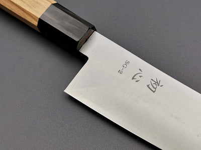 Hatsukokoro Hayabusa SG2 Gyuto 210mm