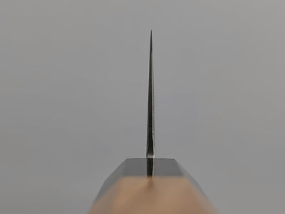 Hatsukokoro Hayabusa SG2 Gyuto 210mm