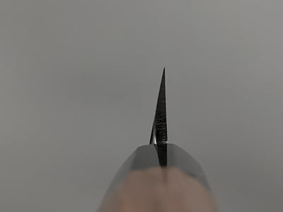 Hado Ginsan Yanagiba 270mm
