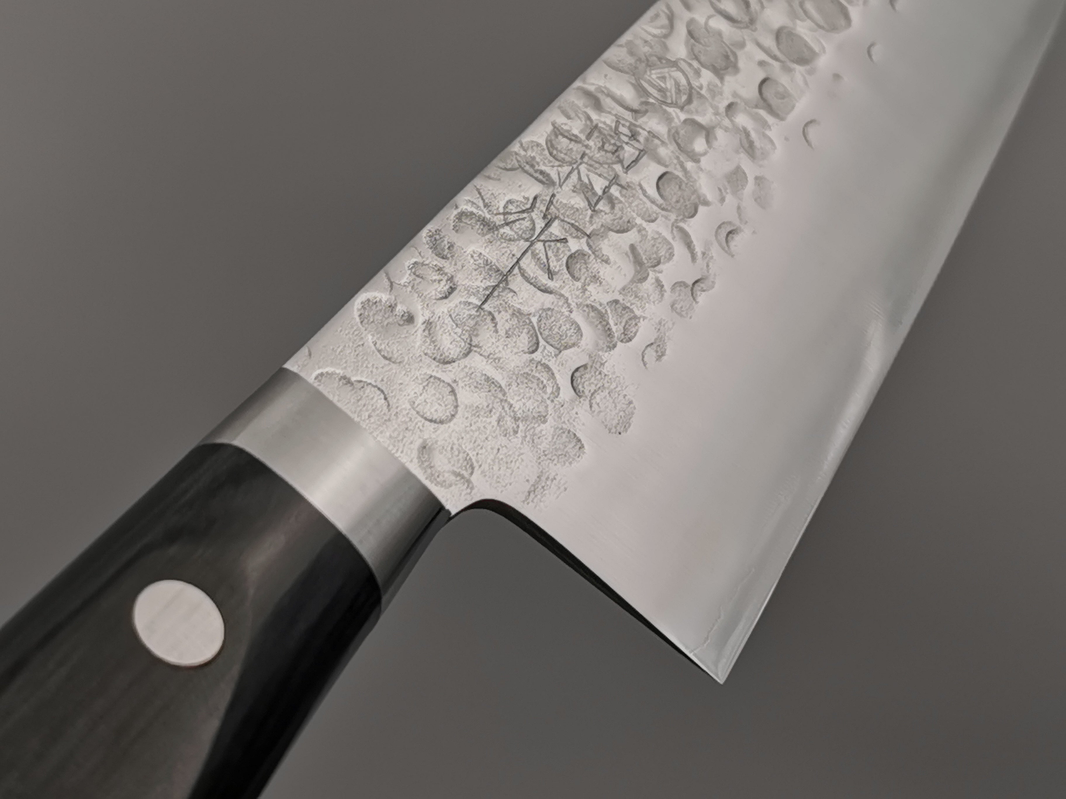 Takamura Hamono VG10 Tsuchime Gyuto 210mm
