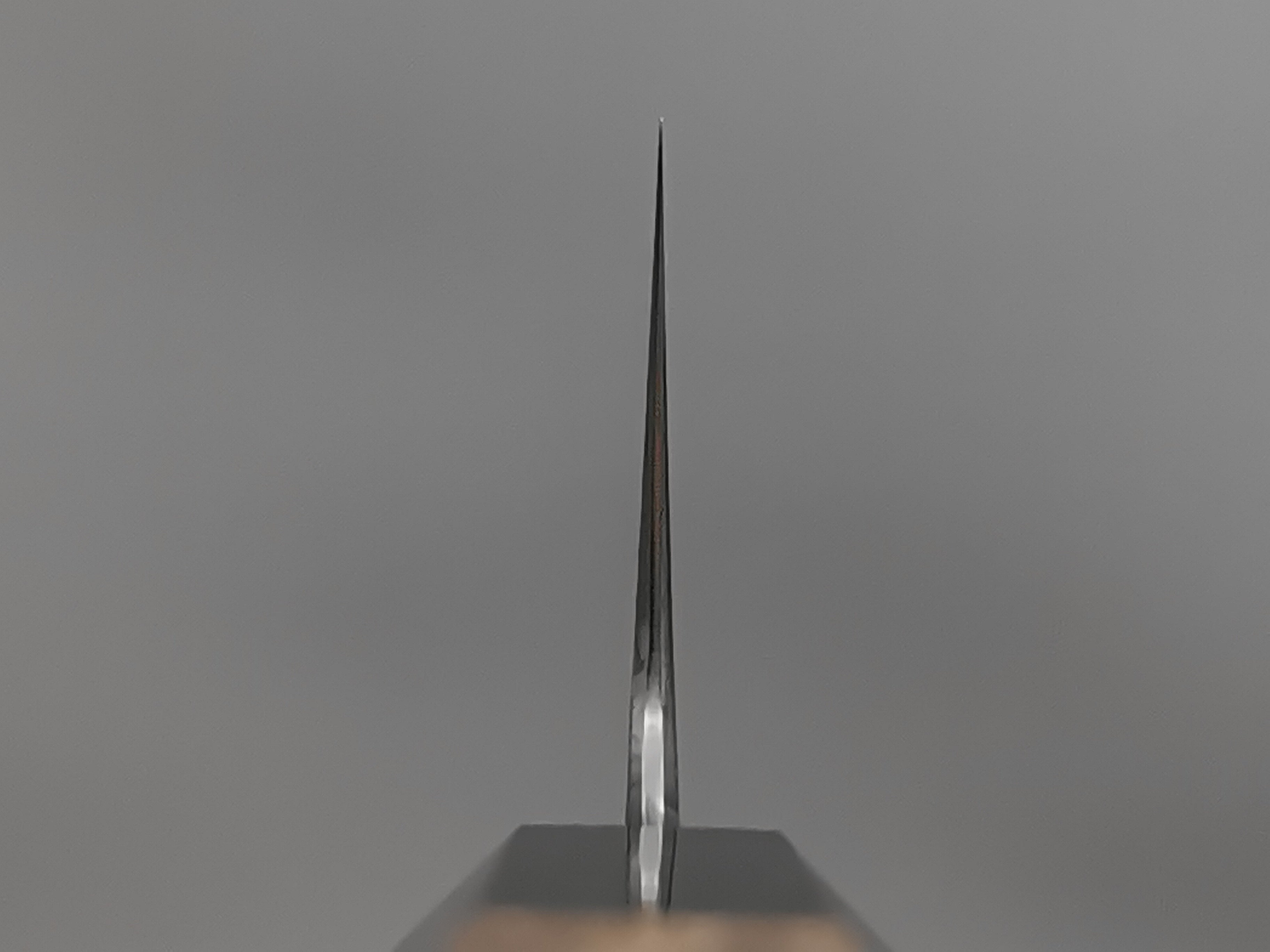 Myojin Naohito SG2 Bunka