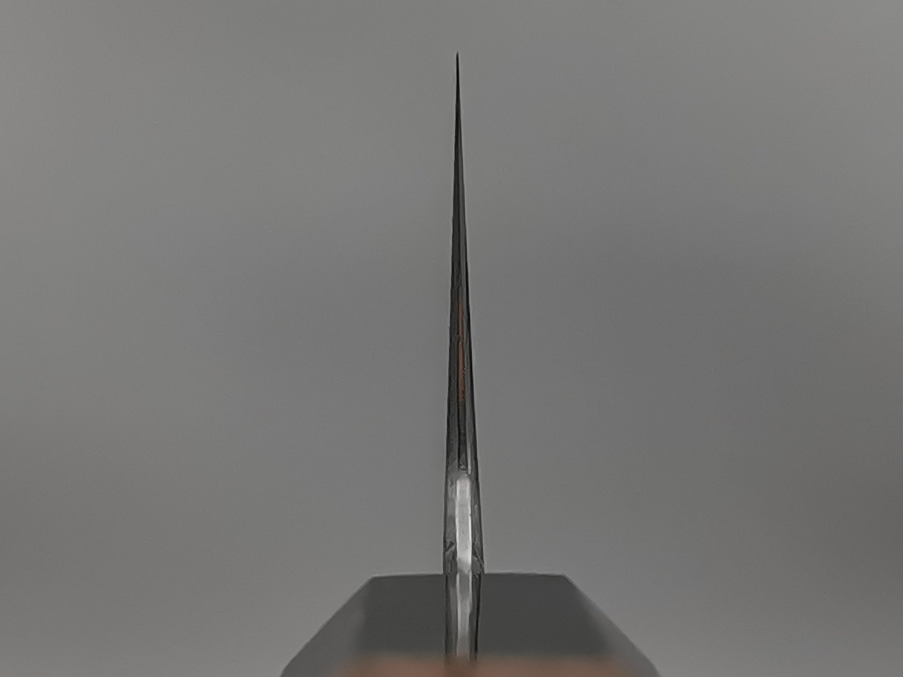 Myojin Naohito SG2 Gyuto 210mm