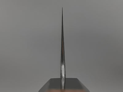 Myojin Naohito SG2 Gyuto 210mm