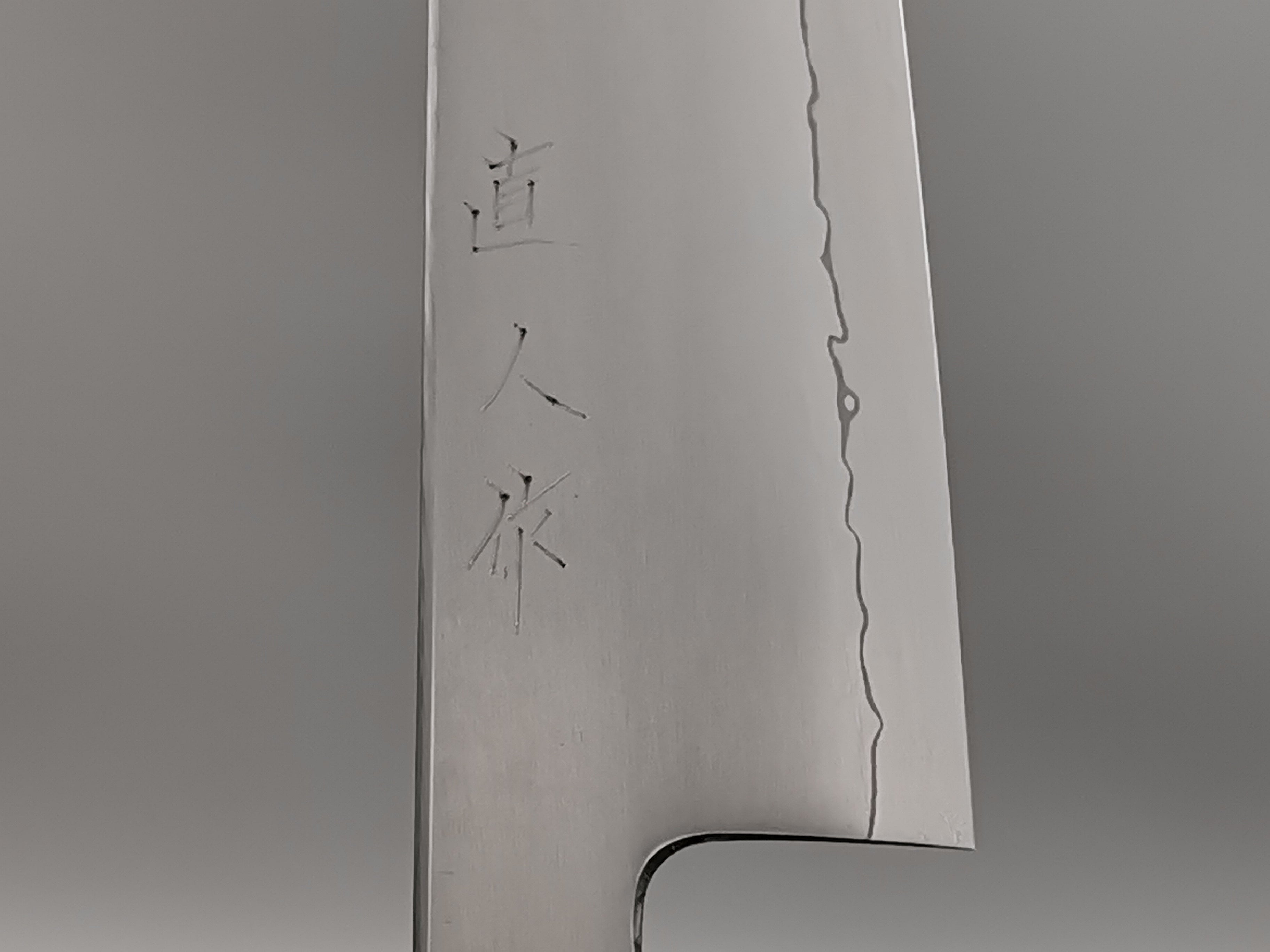 Myojin Naohito SG2 Gyuto 210mm