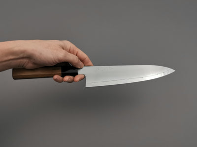 Myojin Naohito SG2 Gyuto 210mm