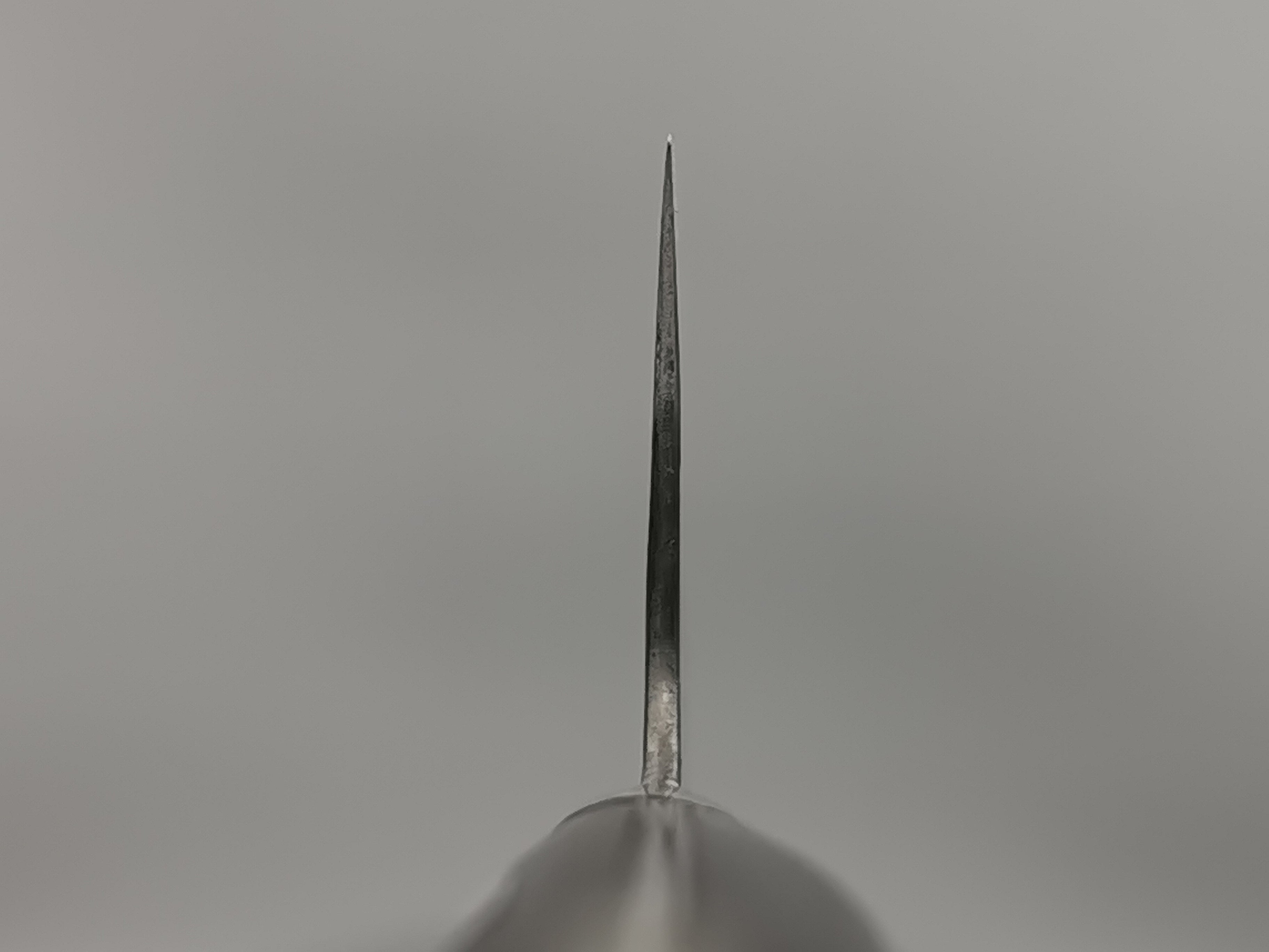 Fujiwara Denka no Hoto Gyuto 180mm